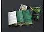 do professional business flyer, signs, banner and all printable services